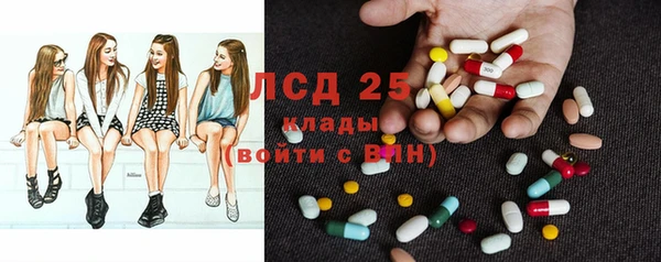 PSILOCYBIN Наволоки