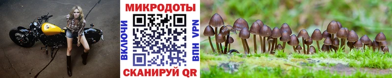 Псилоцибиновые грибы MAGIC MUSHROOMS  где продают наркотики  shop телеграм  Симферополь 