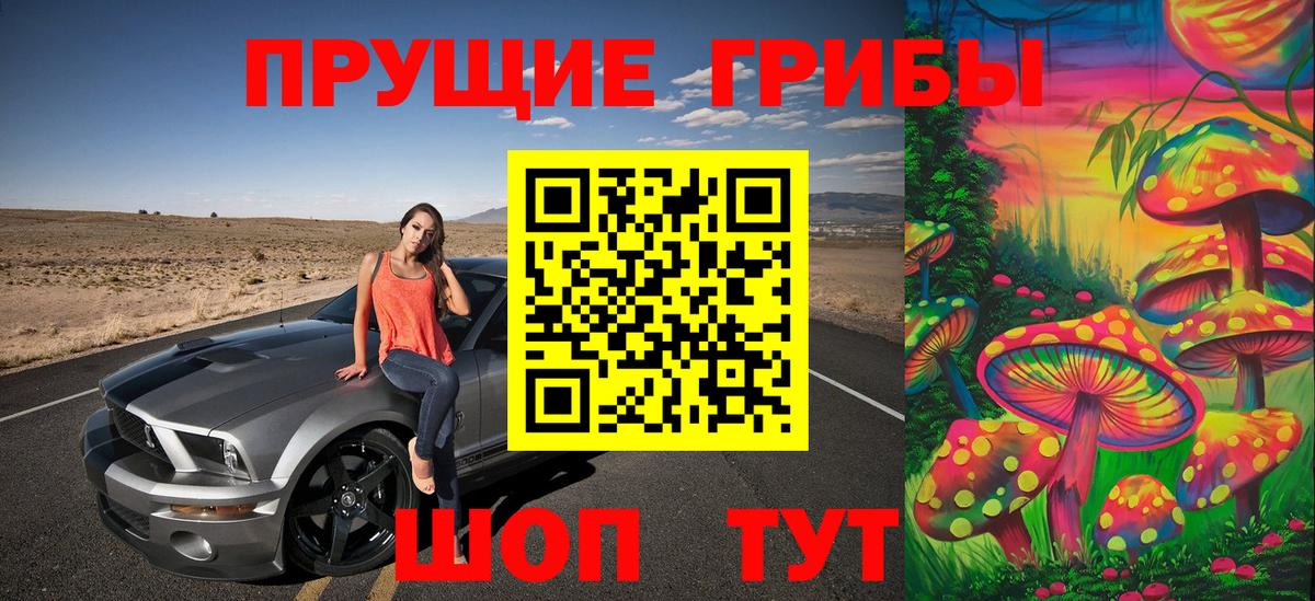 Галлюциногенные грибы Psilocybine cubensis Симферополь
