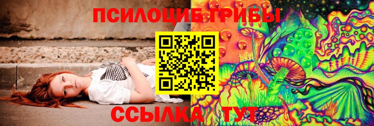 закладки  Симферополь  Галлюциногенные грибы Cubensis 