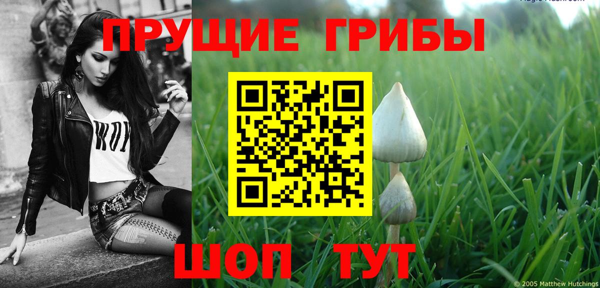 Псилоцибиновые грибы мухоморы Симферополь